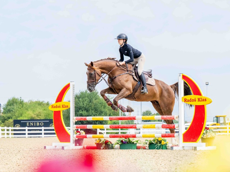 Tiara d'Oro Horse thumbnail