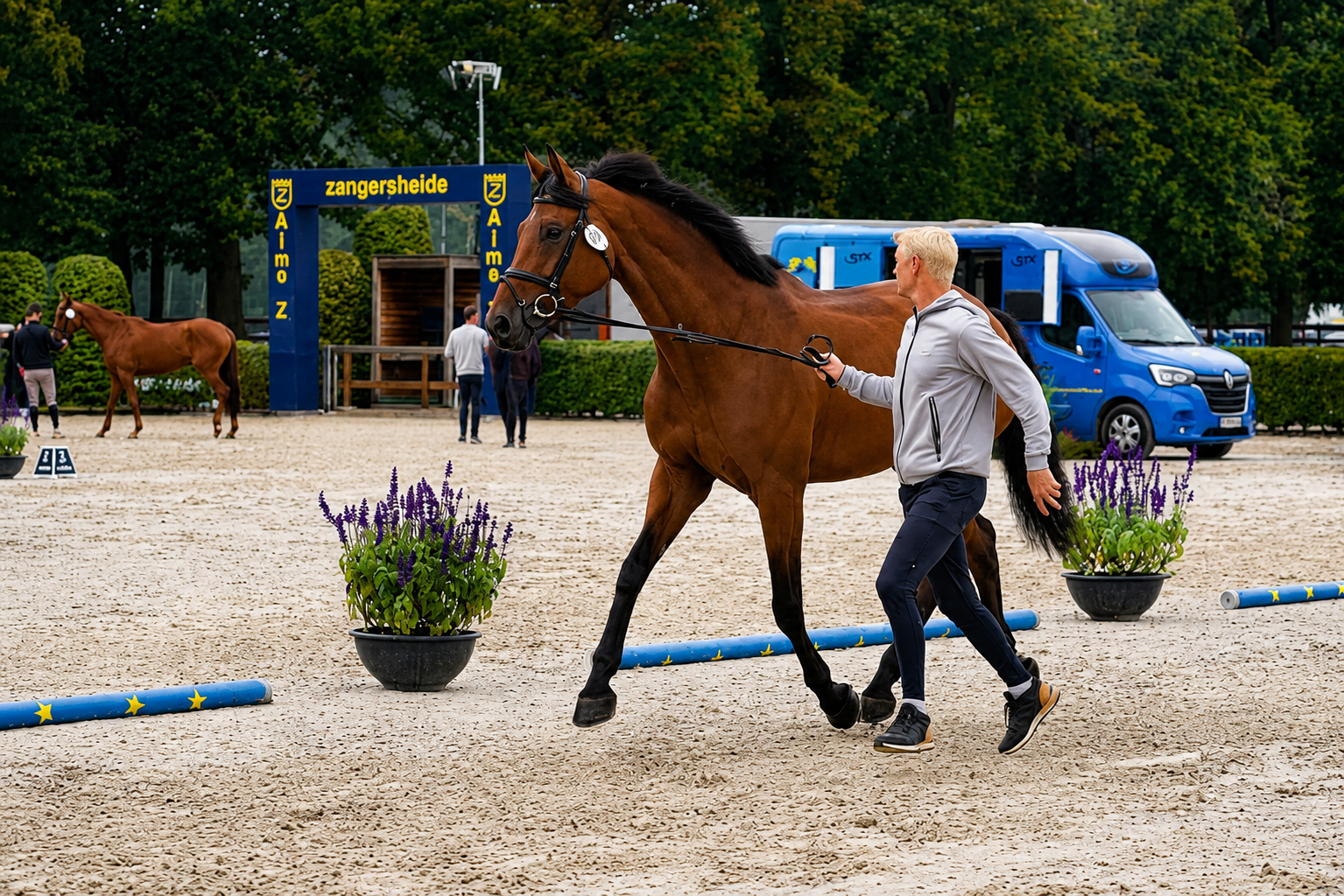 Cher FJ Horse thumbnail