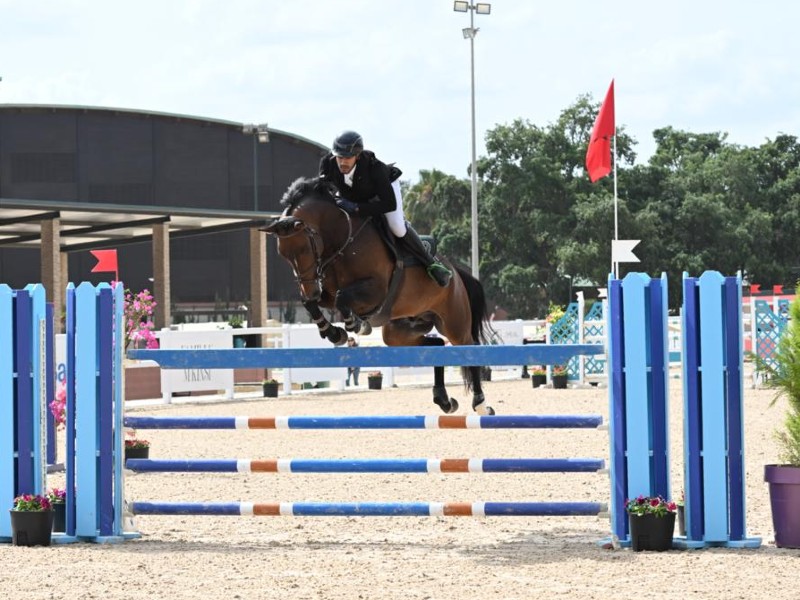 Junior De Fetan Horse thumbnail