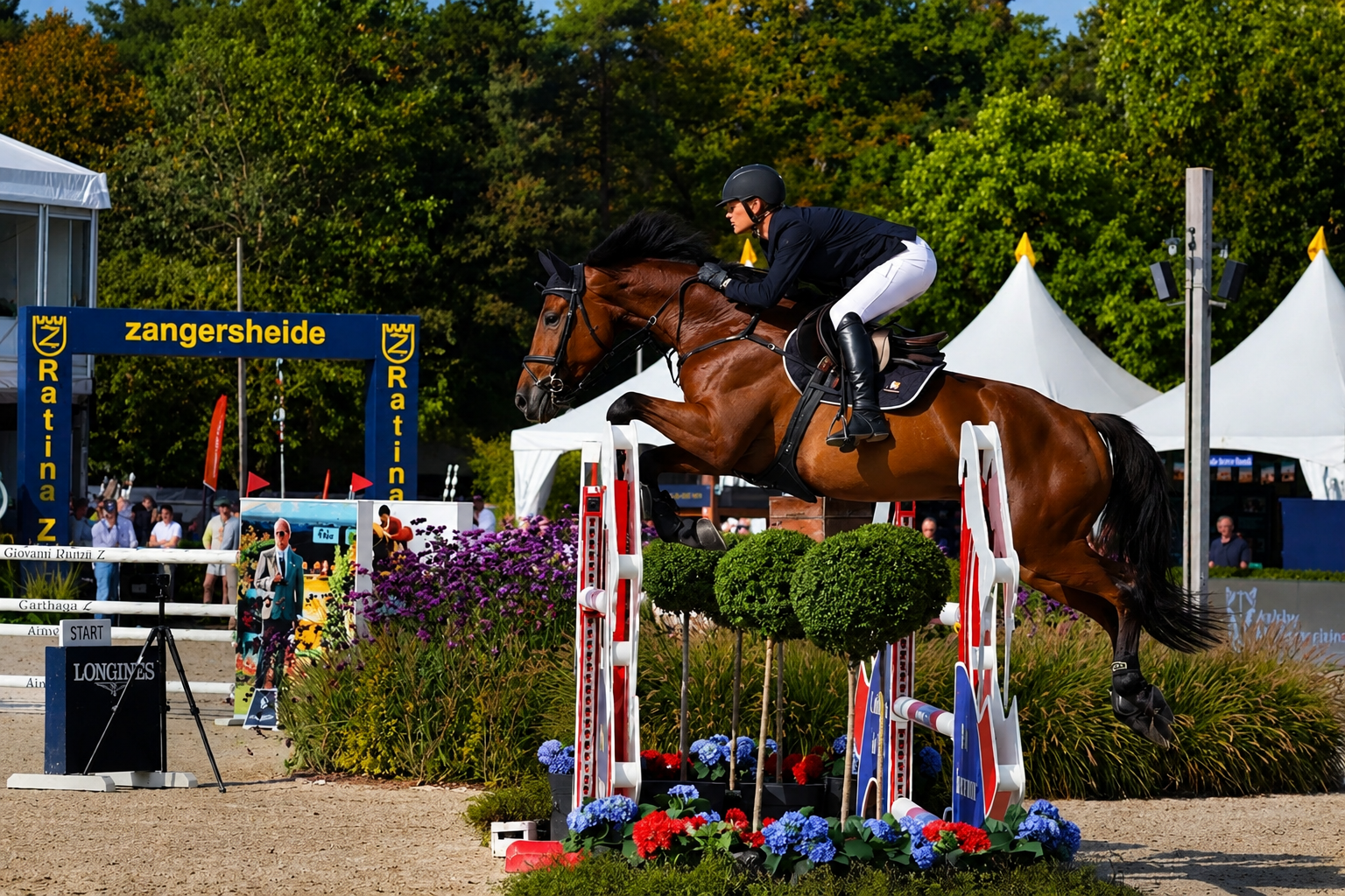 Cher FJ Horse thumbnail