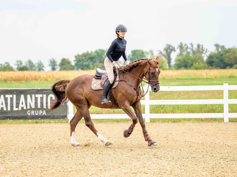 Tiara d'Oro Horse thumbnail