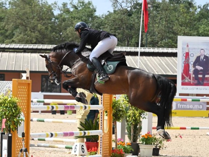 Junior De Fetan Horse thumbnail