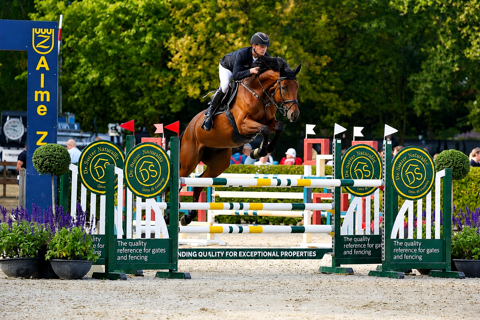 Cher FJ Horse thumbnail