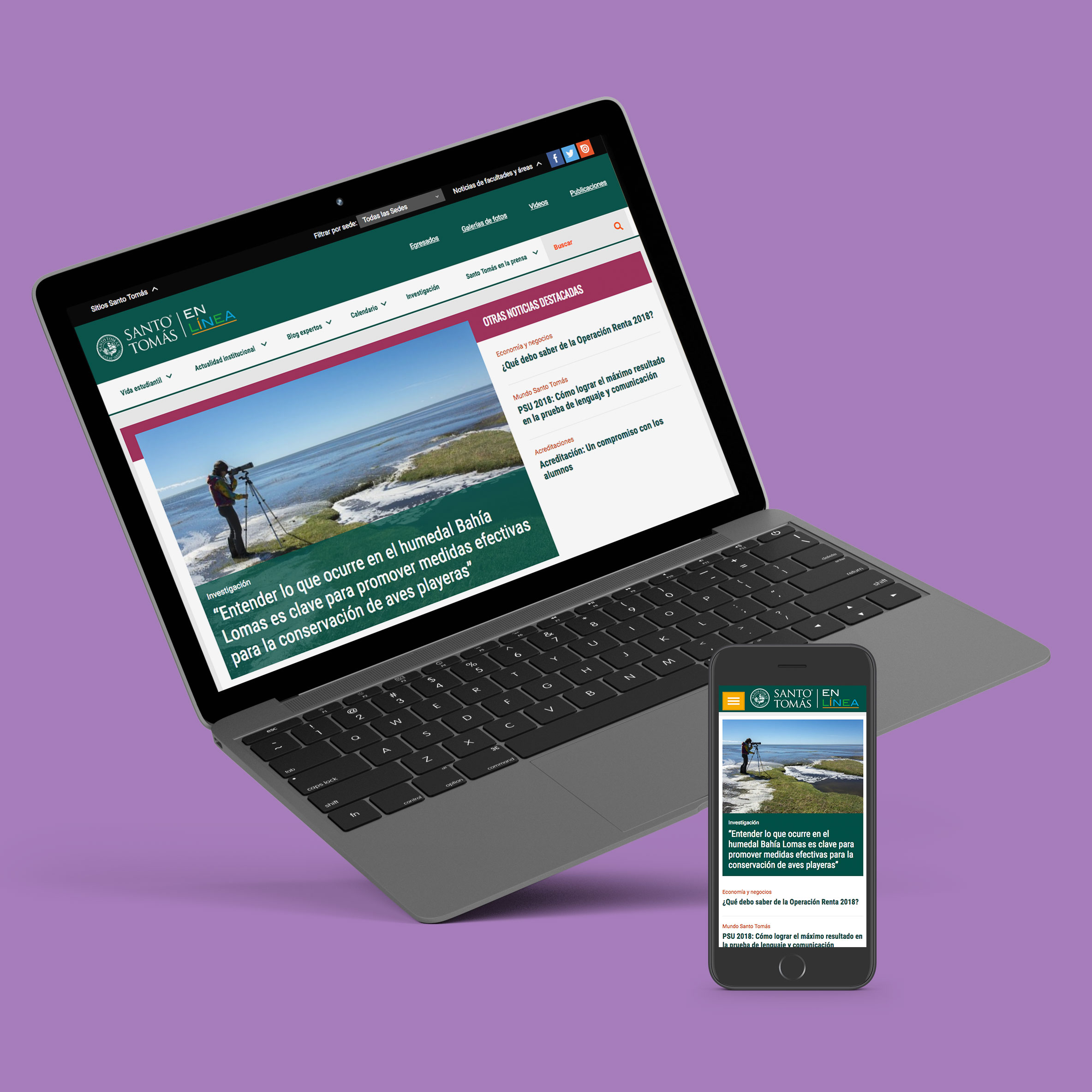 Santo Tomás en Línea