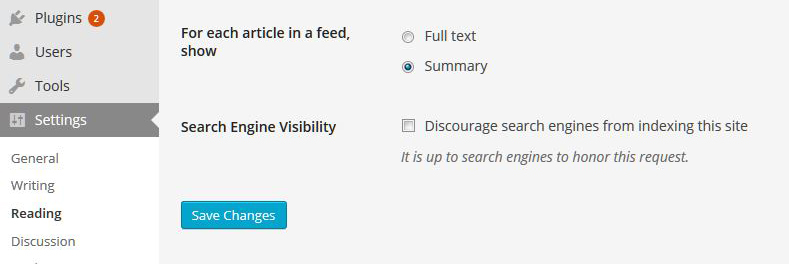 función noindex en WordPress