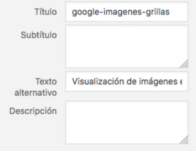 Menú de WordPress para editar el atributo ALT