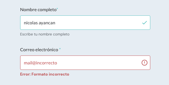 Placeholders y labels que muestran ejemplos y mensajes de error.