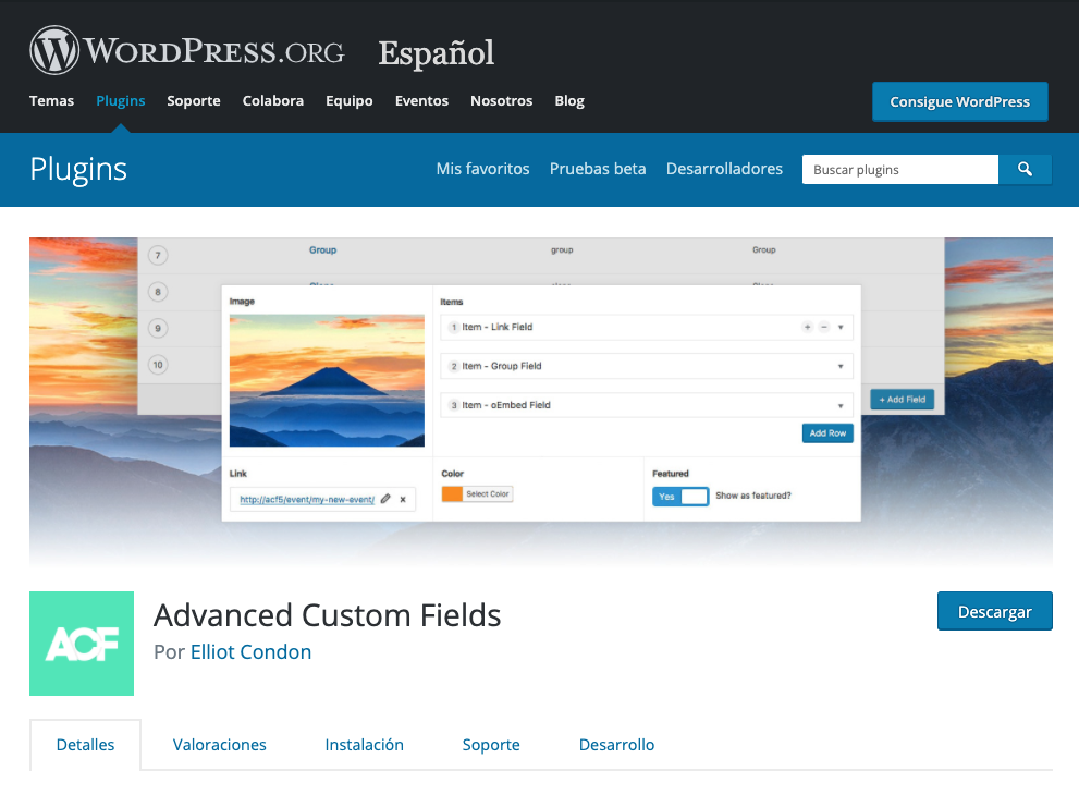 Plugin Advanced Custom Fields.