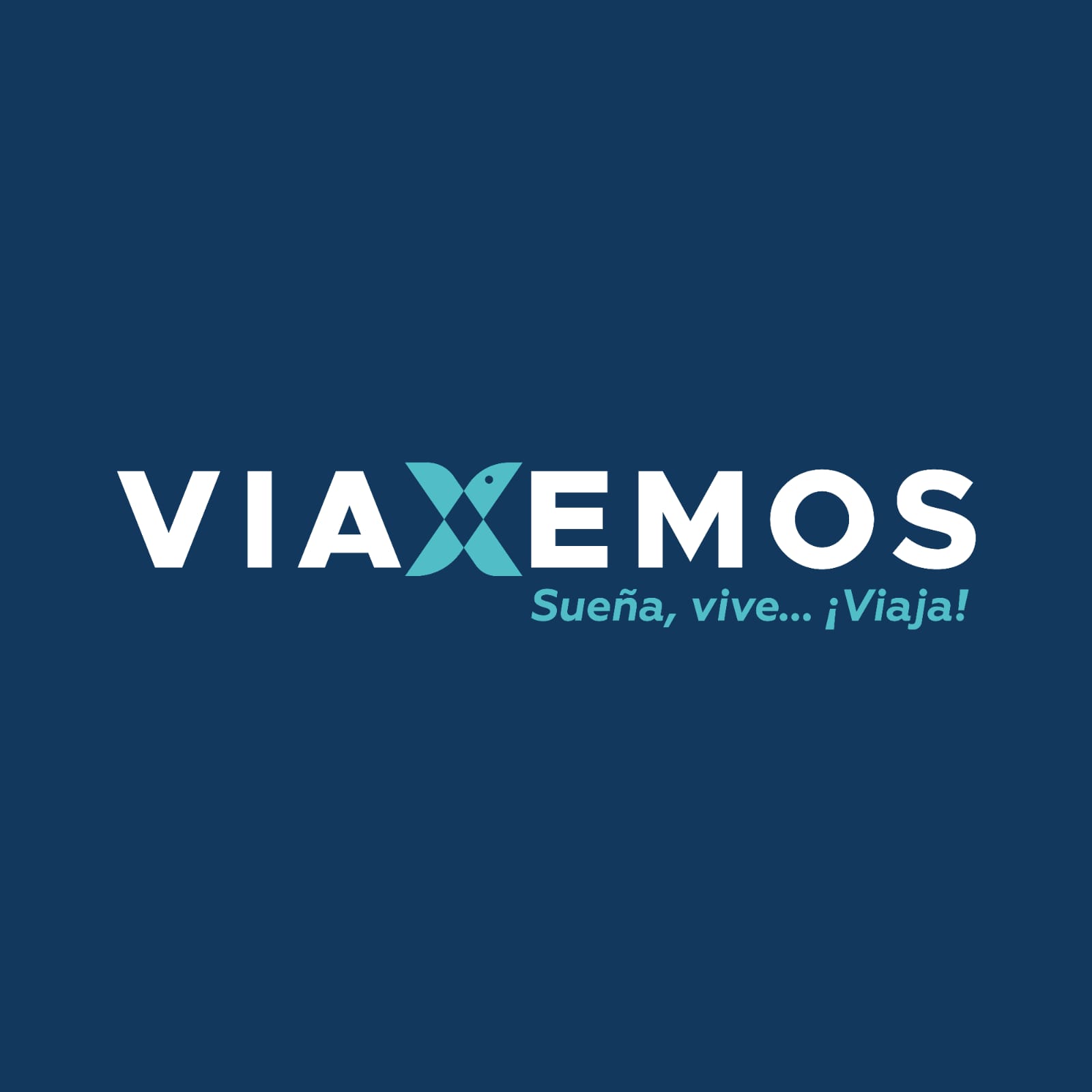 Viaxemos Logo Tienda Online Turismo