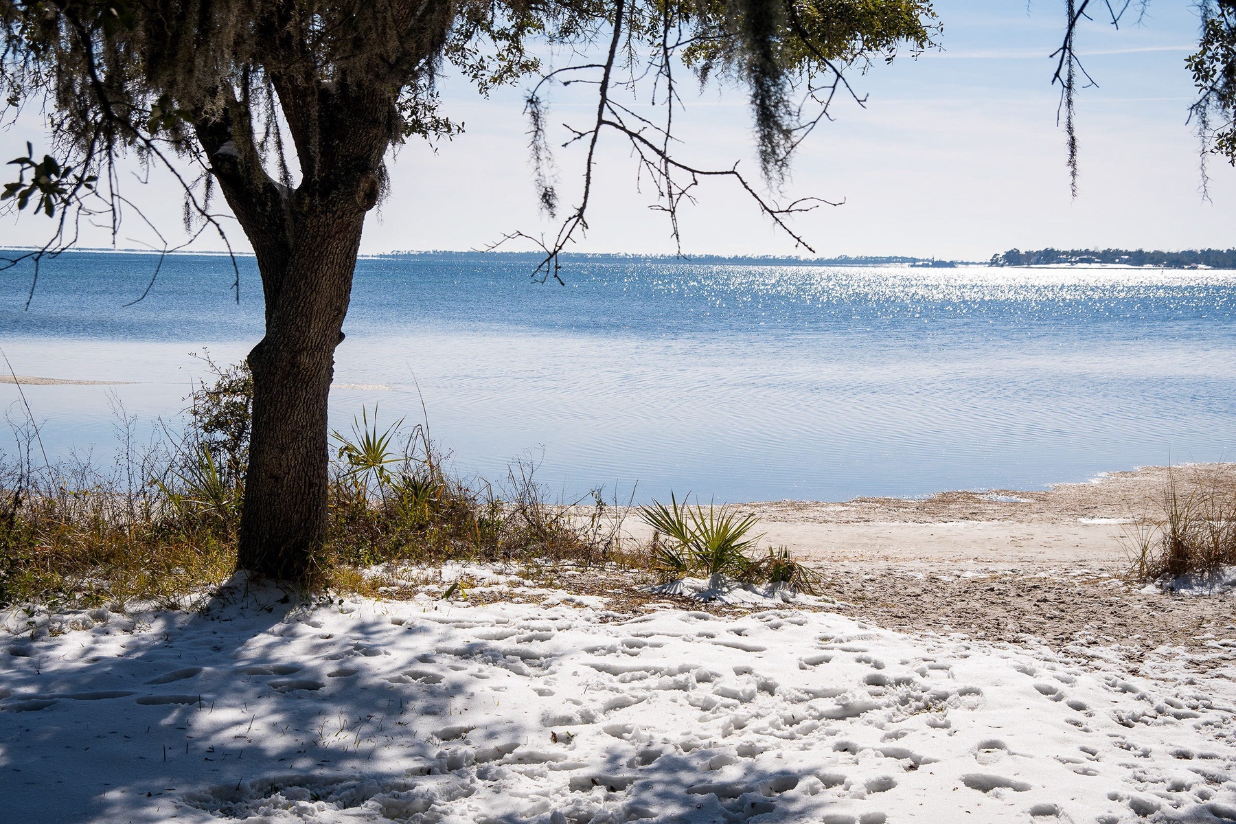 Particle: Historic Winter Storm Brings Record Snowfall and Deadly Cold ...