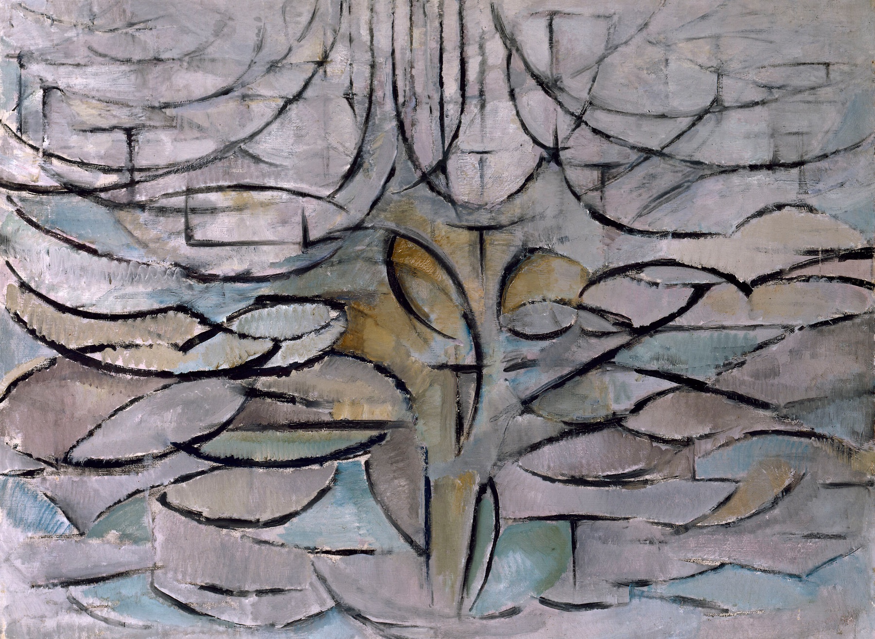Particle: Study Reveals Mathematical Patterns in Tree Depictions Across ...