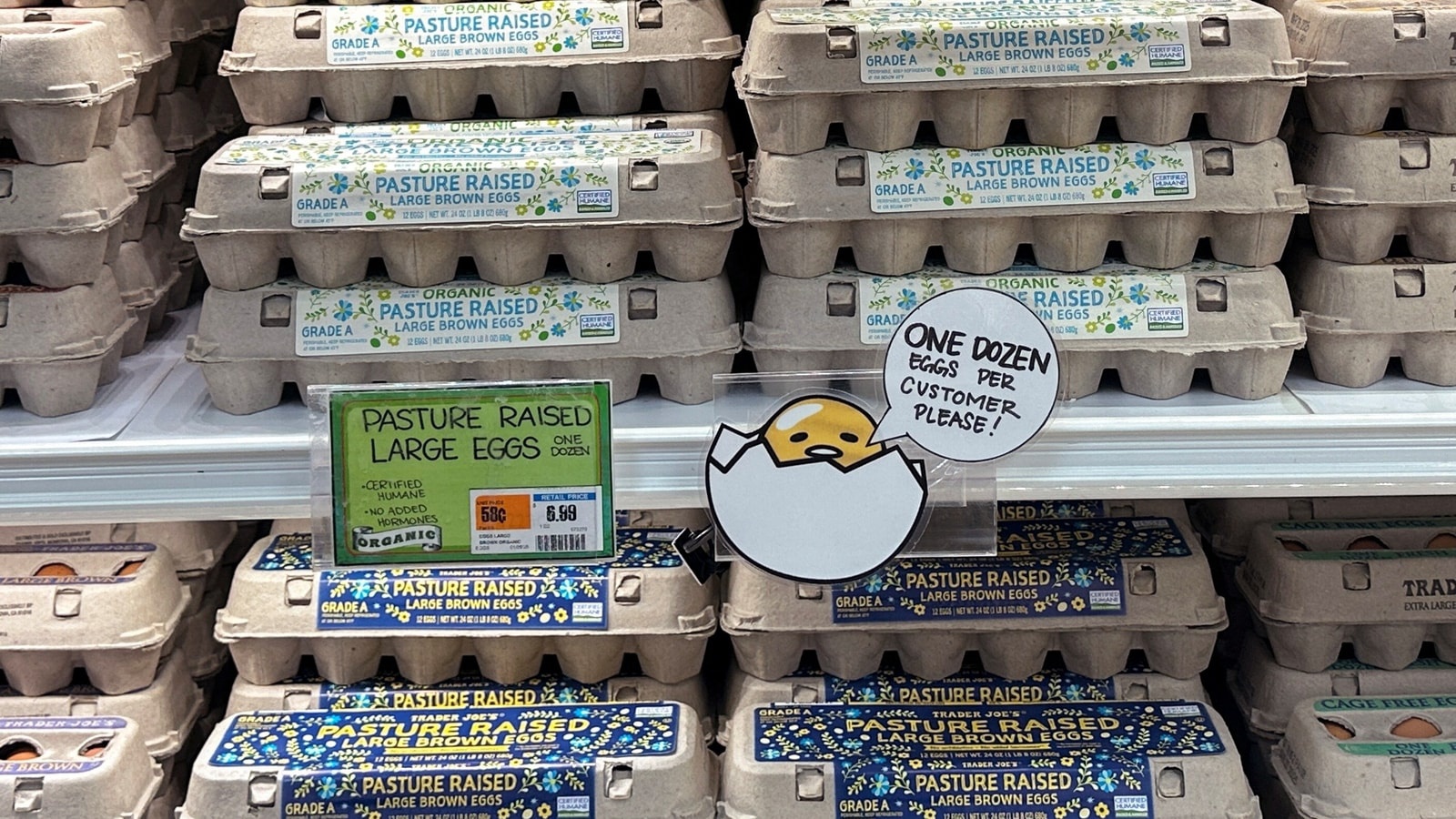 Particle: Record Egg Prices in the U.S. Linked to Bird Flu Outbreak