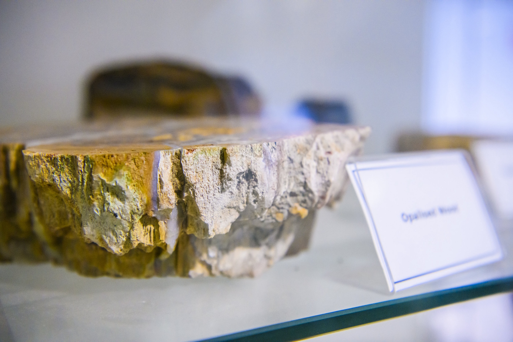 Particle News: Earth’s First Crust Formed 4.5 Billion Years Ago Without ...