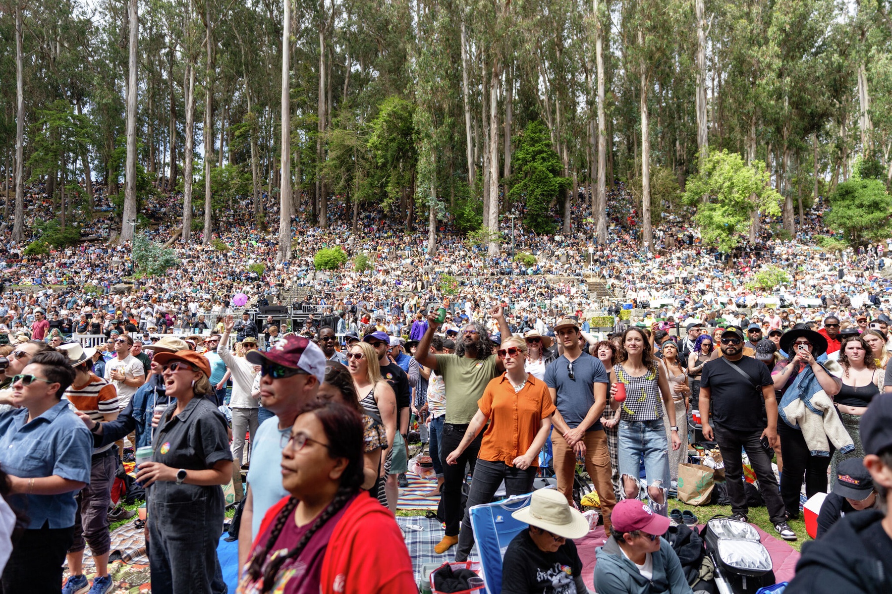 particle-news-stern-grove-festival-unveils-2025-lineup-featuring-diana