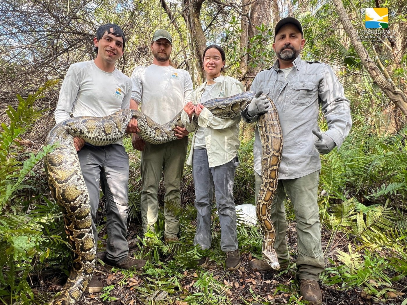 Particle News: Southwest Florida Conservancy Tops 20-Ton Removal of ...