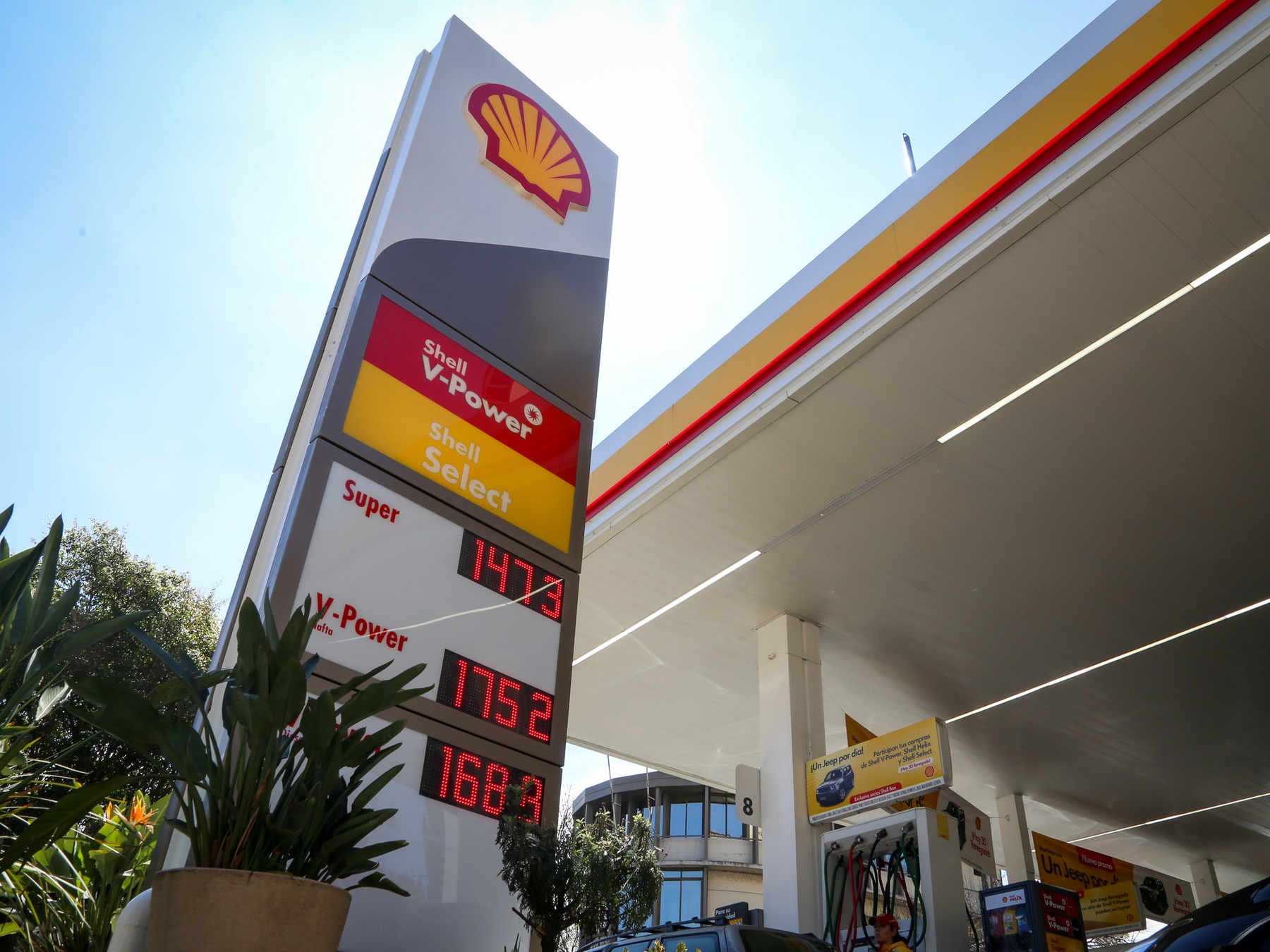 Particle: Vitol Joins Bidding for Raízen’s Shell-Branded Assets in ...