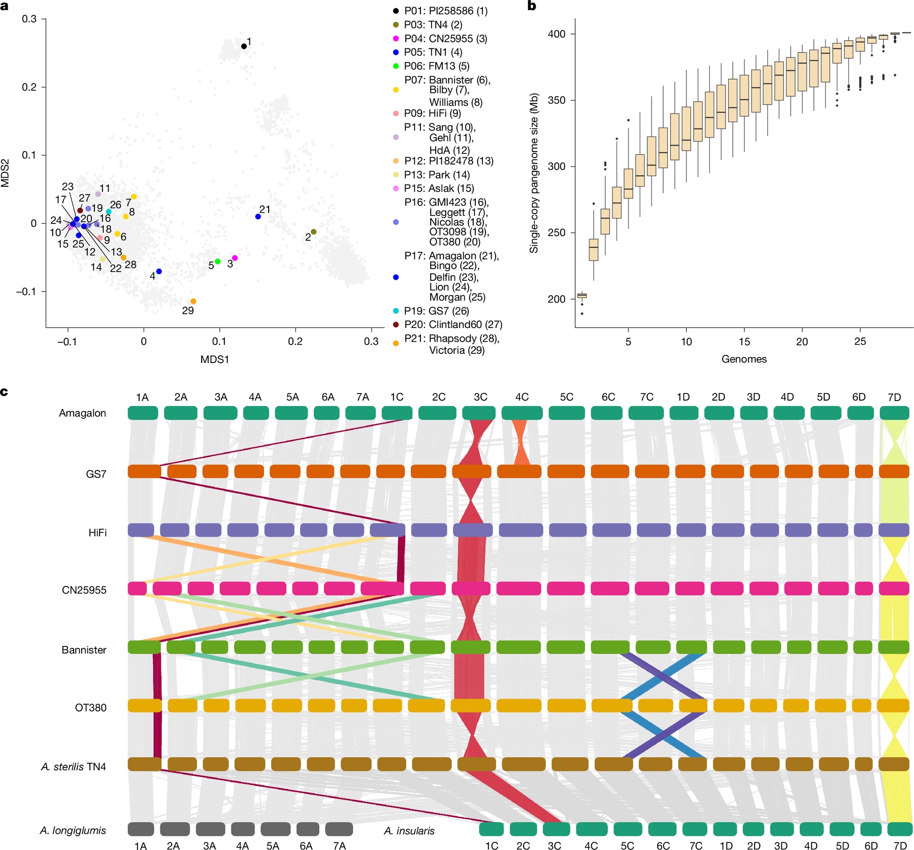 Particle: Global Team Publishes Oat Pangenome and Gene Atlas, Mapping ...