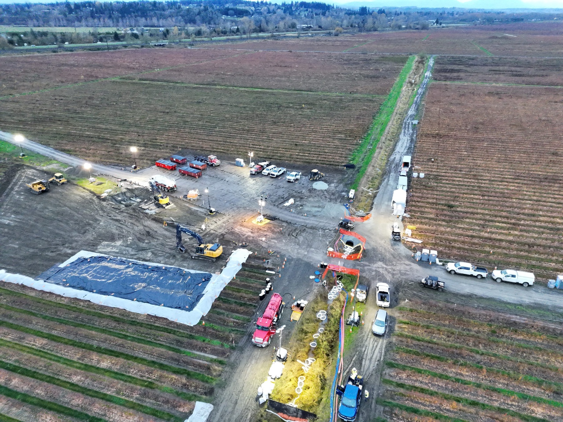 Particle: BP Pipeline Leak Halts Two Olympic Lines, Putting Sea-Tac Jet ...