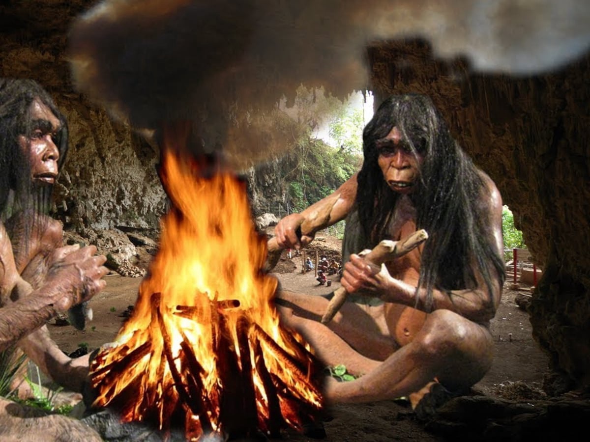 Particle News: British Museum-Led Study Finds Oldest Evidence of ...