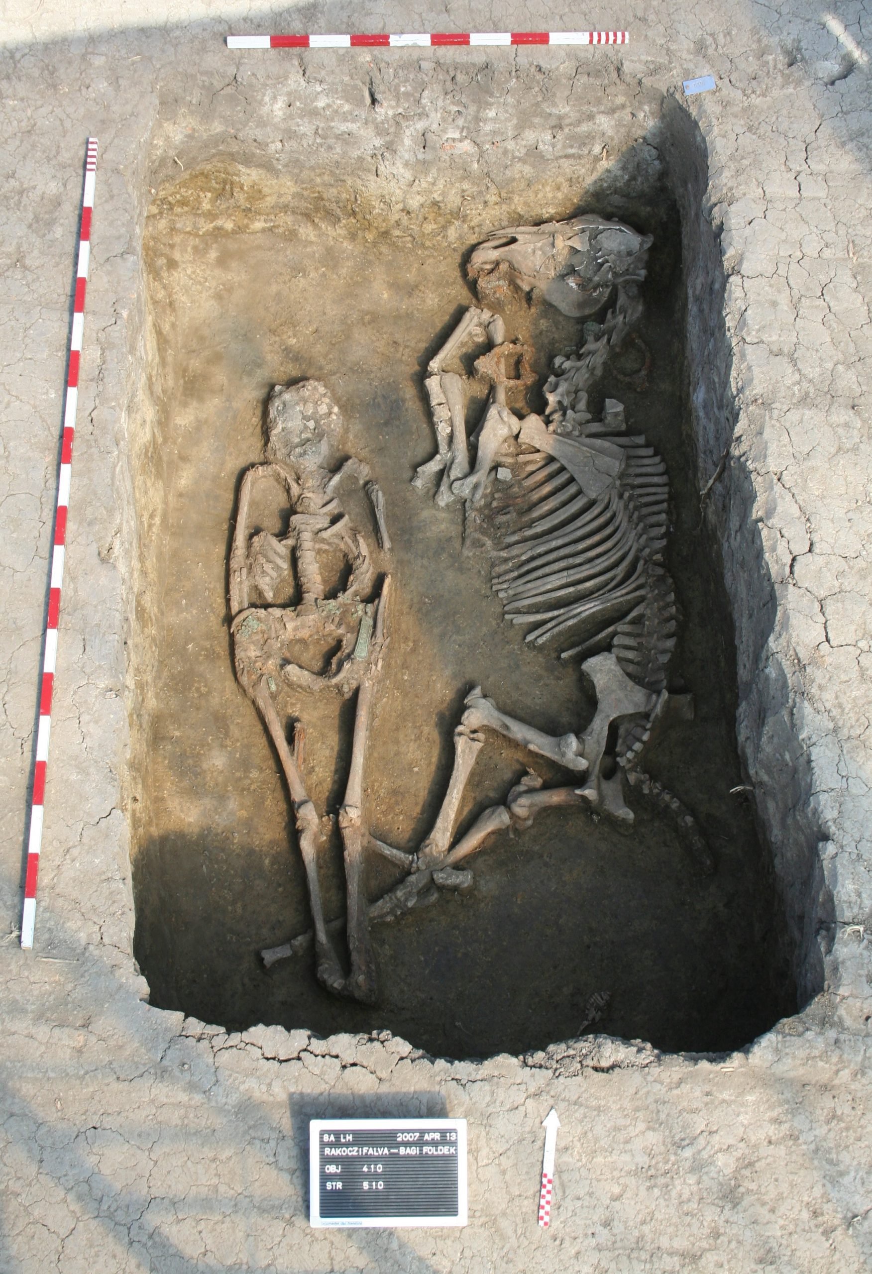 Particle: Groundbreaking DNA Study Unveils Social Structure of Ancient ...