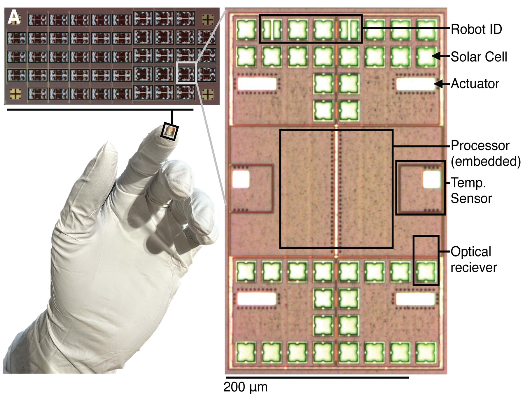 Particle: Penn and Michigan Unveil Microrobots That Compute, Sense and ...