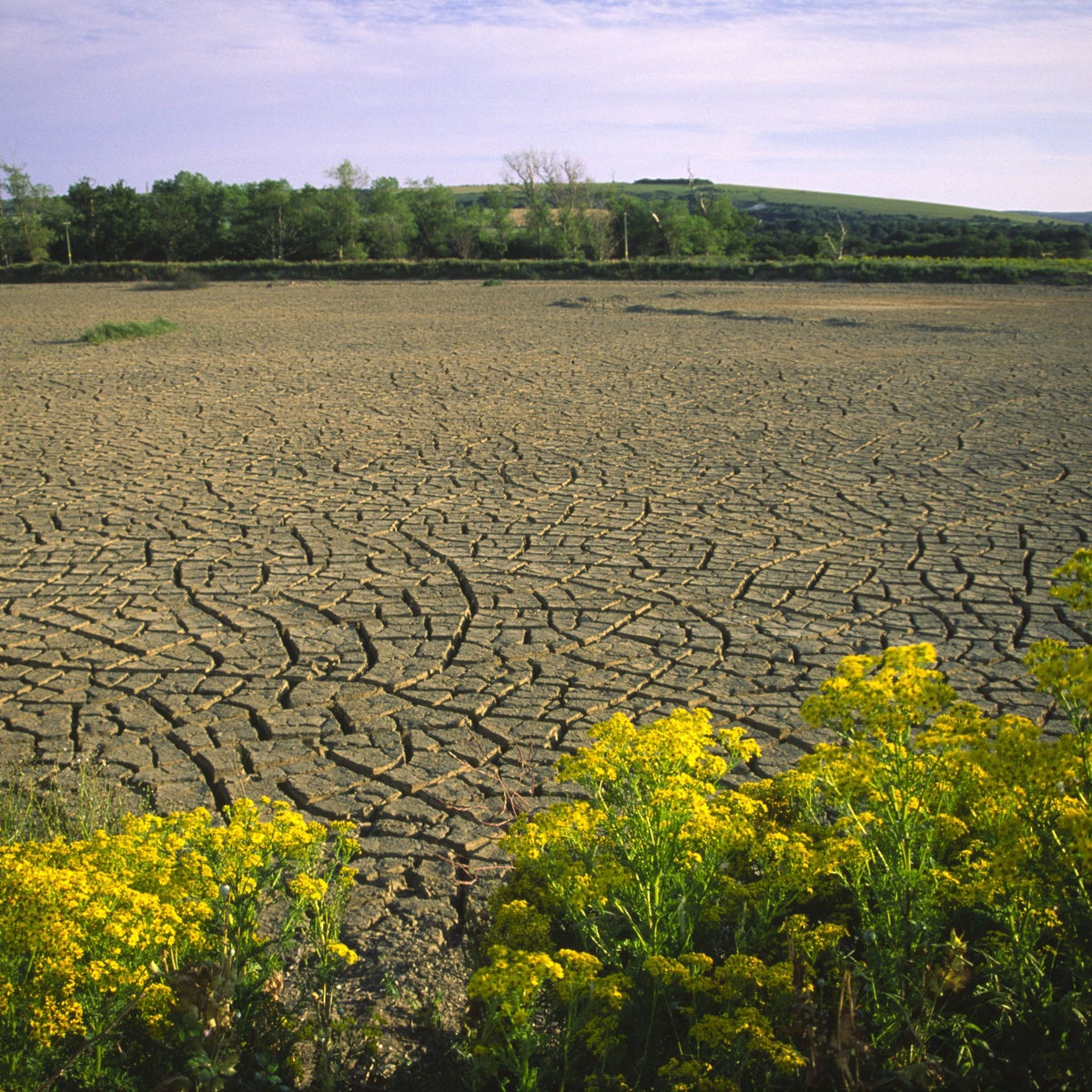 Climate Change Linked to Worsening Neurological and Psychiatric Disorders