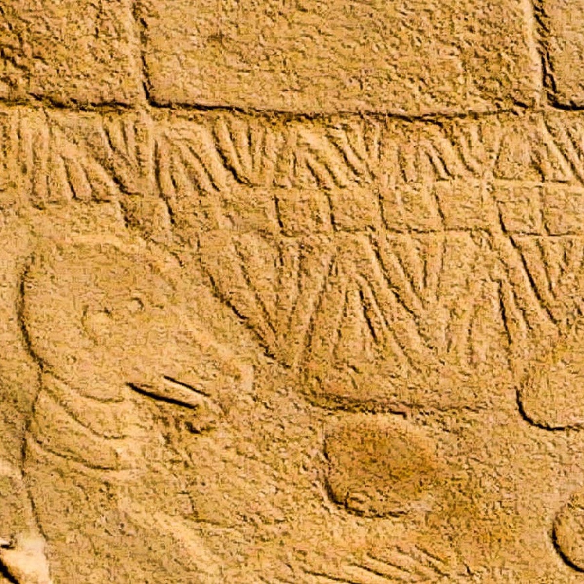 particle-news-ancient-carvings-in-turkey-may-represent-world-s-oldest