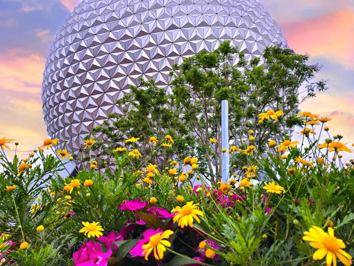 Particle: EPCOT Unveils Full 2026 Garden Rocks Lineup and Seating ...