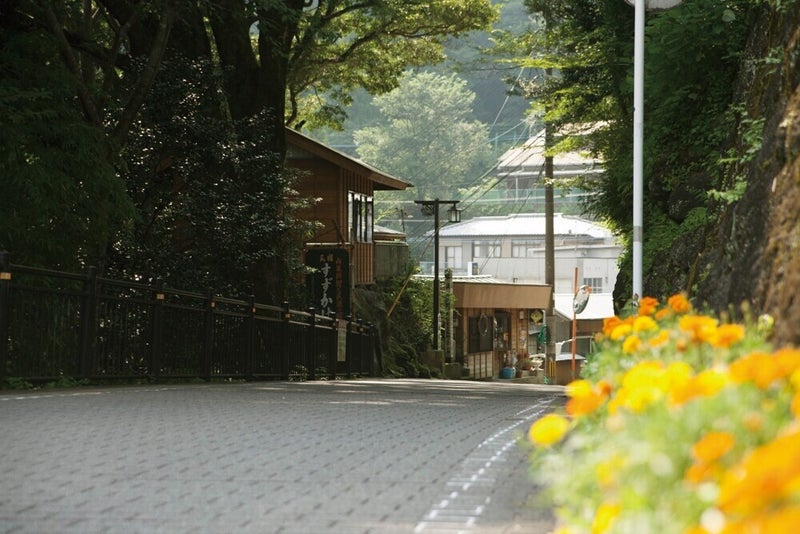 道の写真