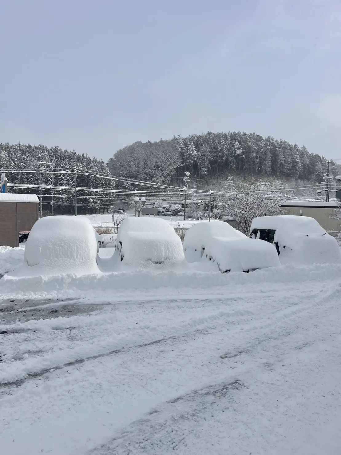 雪、たくさん降りますか?