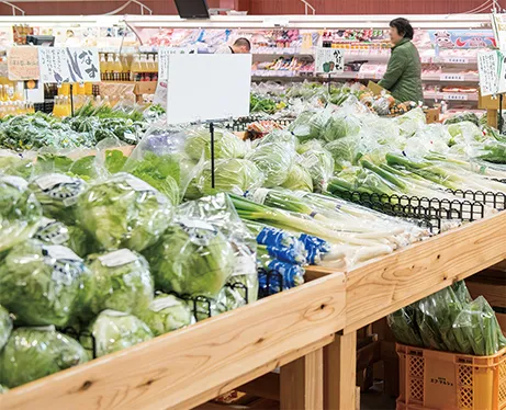 地域で採れた食材が入手しやすい【全国1位】温暖な気候に恵まれた松山は美味しい食材の宝庫