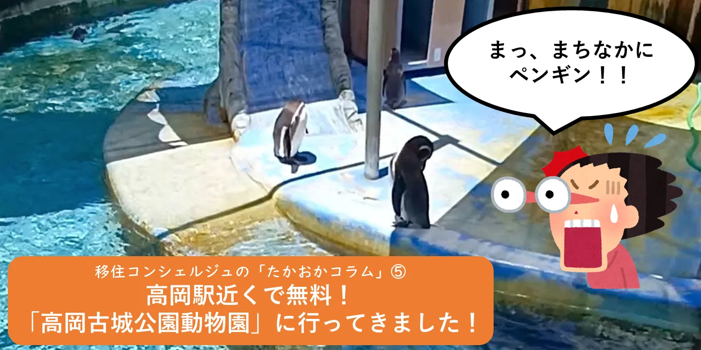 ∞ 移住コンシェルジュの「たかおかコラム」⑤ ∞ 高岡駅近くで無料！「高岡古城公園動物園」に行ってきました！