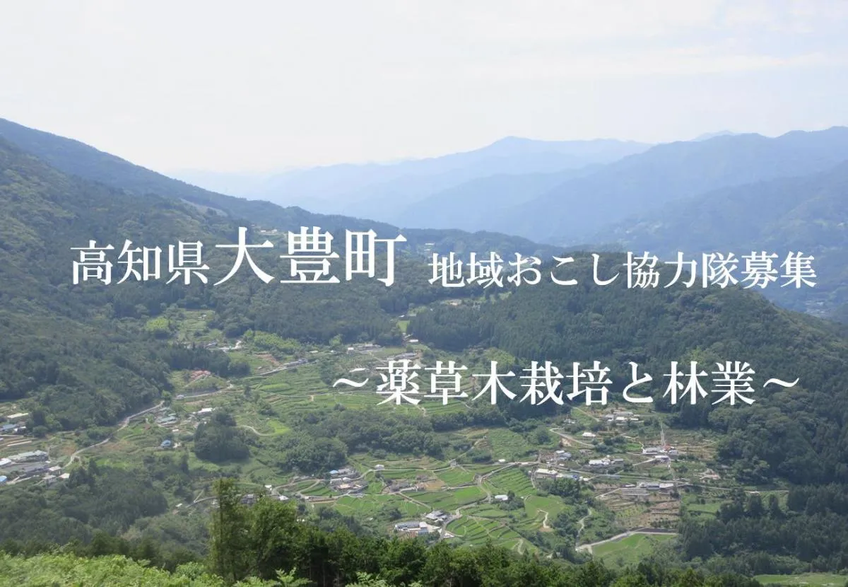 【地域おこし協力隊】～薬草木栽培と林業～四国山地の真ん中で森と里を活かしながら暮らしませんか？