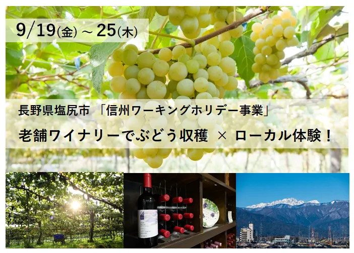信州ワーキングホリデー事業「老舗ワイナリーでぶどう収穫 × ローカル体験！」の参加者を募集中！