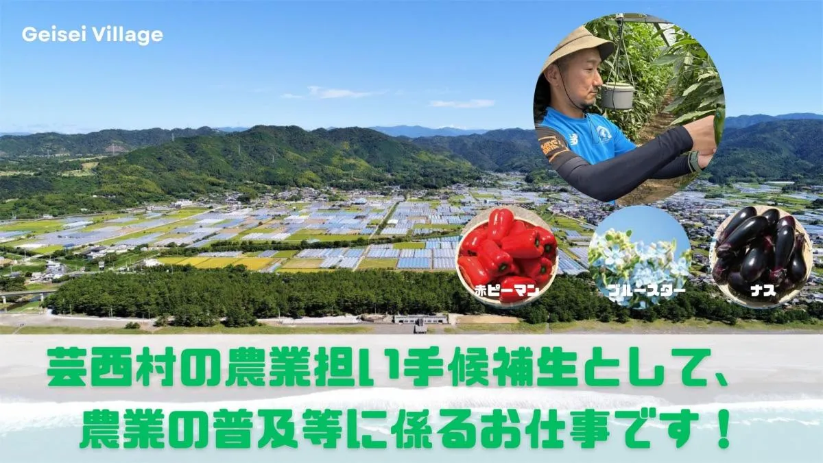 【地域おこし協力隊】農業の担い手になりませんか？やる気と元気のある方募集！【高知県 芸西村】