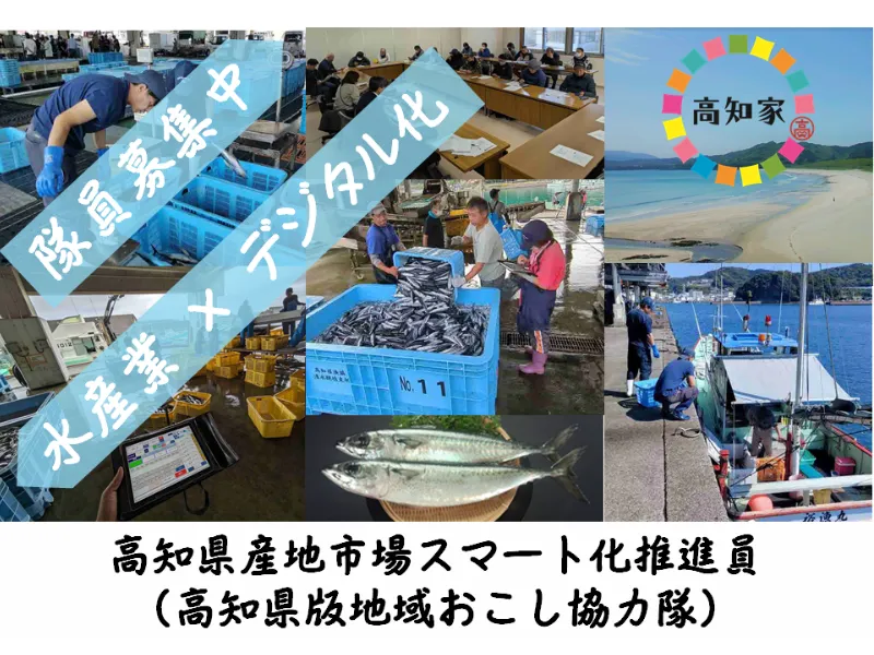 【地域おこし協力隊】水産業×デジタル化！産地市場スマート化推進員を募集中🐟【高知県】