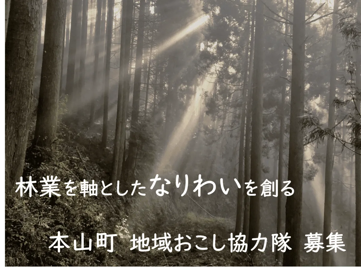 【地域おこし協力隊】豊かな森を守り、活かす。多様な森づくりに携わるメンバーを募集!【高知県本山町】
