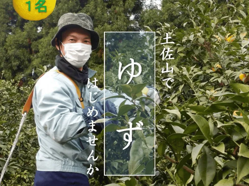 【地域おこし協力隊】土佐山のゆず文化を担う！ゆず生産の支援やＰＲを行いながら、任期後はゆず農家に！