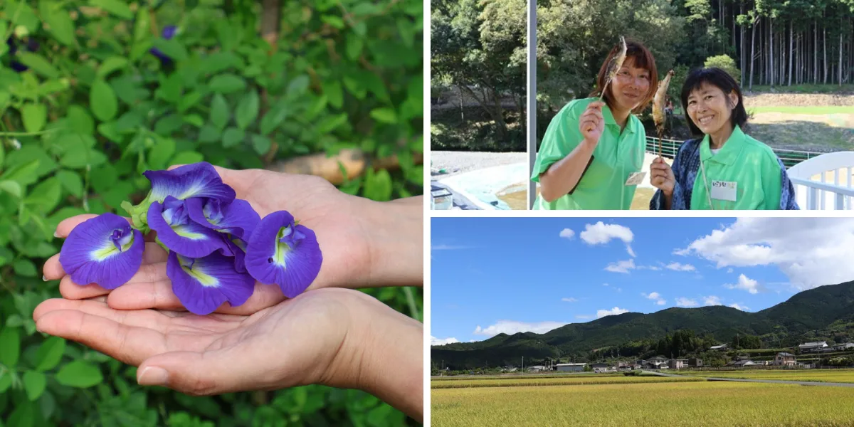 お手伝いが旅になる!人と自然に出会う高知の新しい交流プロジェクト「いこうち!」