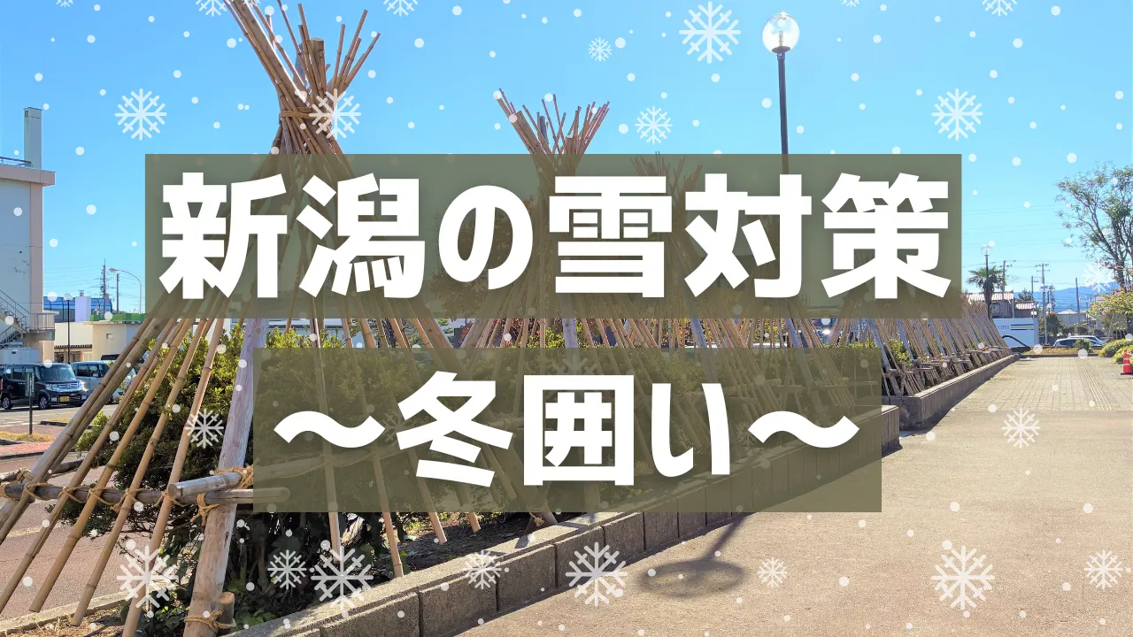 新潟の雪対策①「冬囲い」