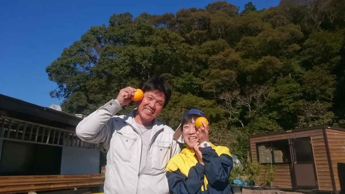 【ワーホリ】宿泊費補助有り!ポンカンの収穫体験!【東洋町】