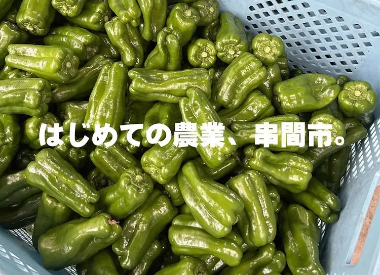 令和７年度 宮崎県串間市地域おこし協力隊 募集‼ （２月採用予定）