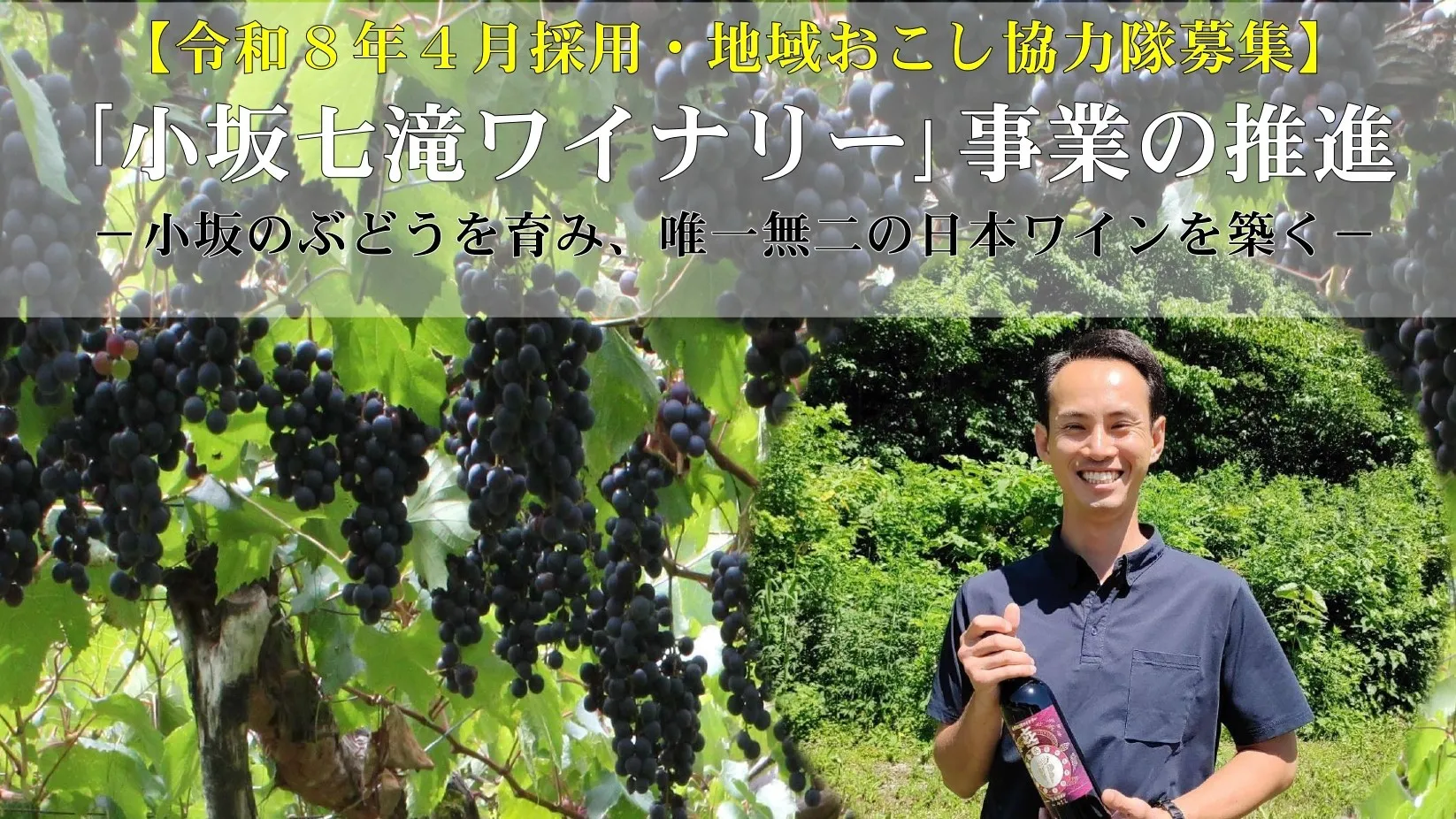 【令和8年4月採用・地域おこし協力隊募集】共に小坂のぶどうを育み、唯一無二の日本ワインを築く仲間をお待ちしています!