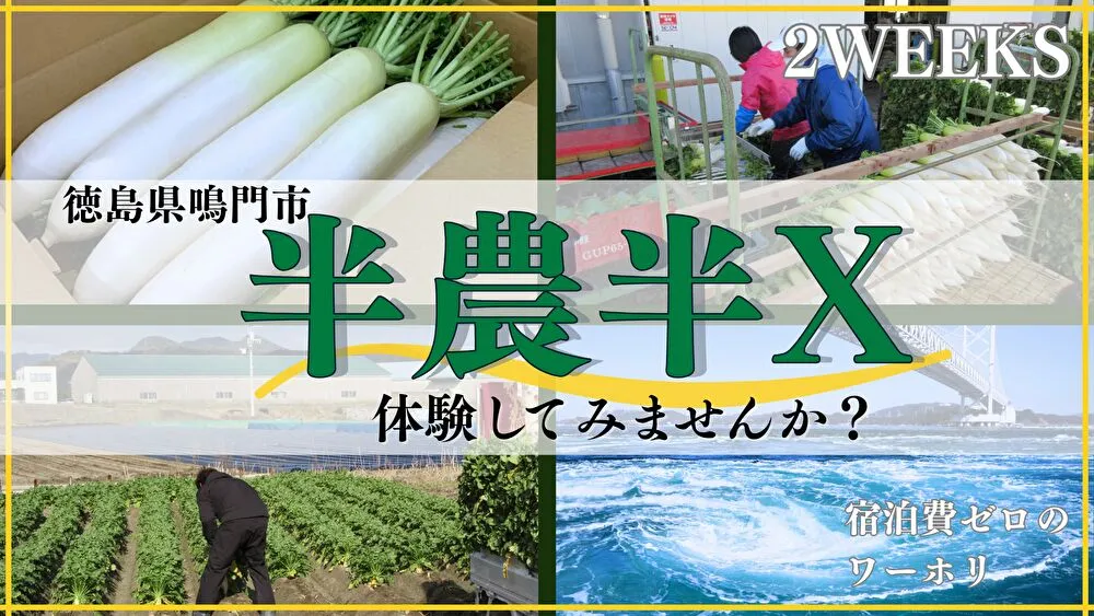 【徳島県鳴門市】宿泊費ゼロで２週間のお試し暮らし！潮風感じる海辺で特産品「青首だいこん」の農業バイト体験してみませんか？