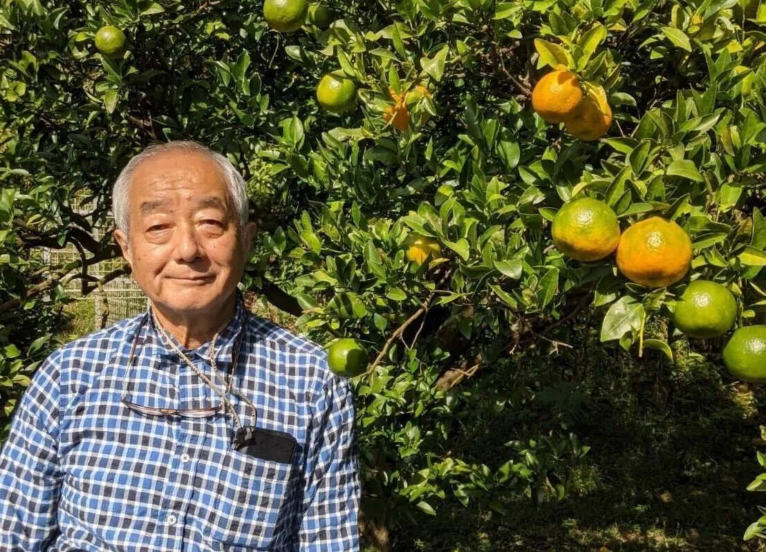 【ワーホリ】土佐柑橘の収穫体験！【東洋町】