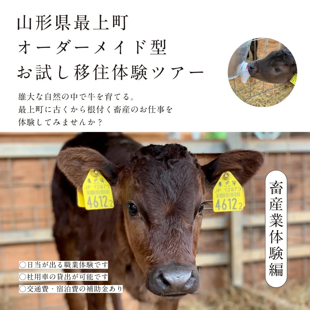 【畜産業体験編】最上町オーダーメイド型移住体験お試しツアー参加者募集
