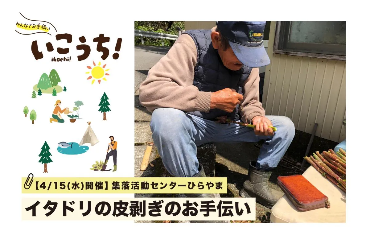 【4/15(水)香美市開催】イタドリの皮剥ぎのお手伝い募集！