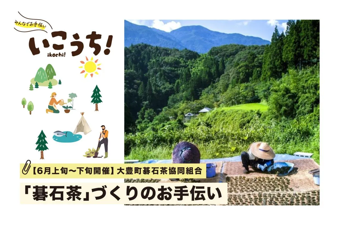 【６月上旬〜下旬 大豊町開催】400年続く大豊町の宝「碁石茶」づくりのお手伝い