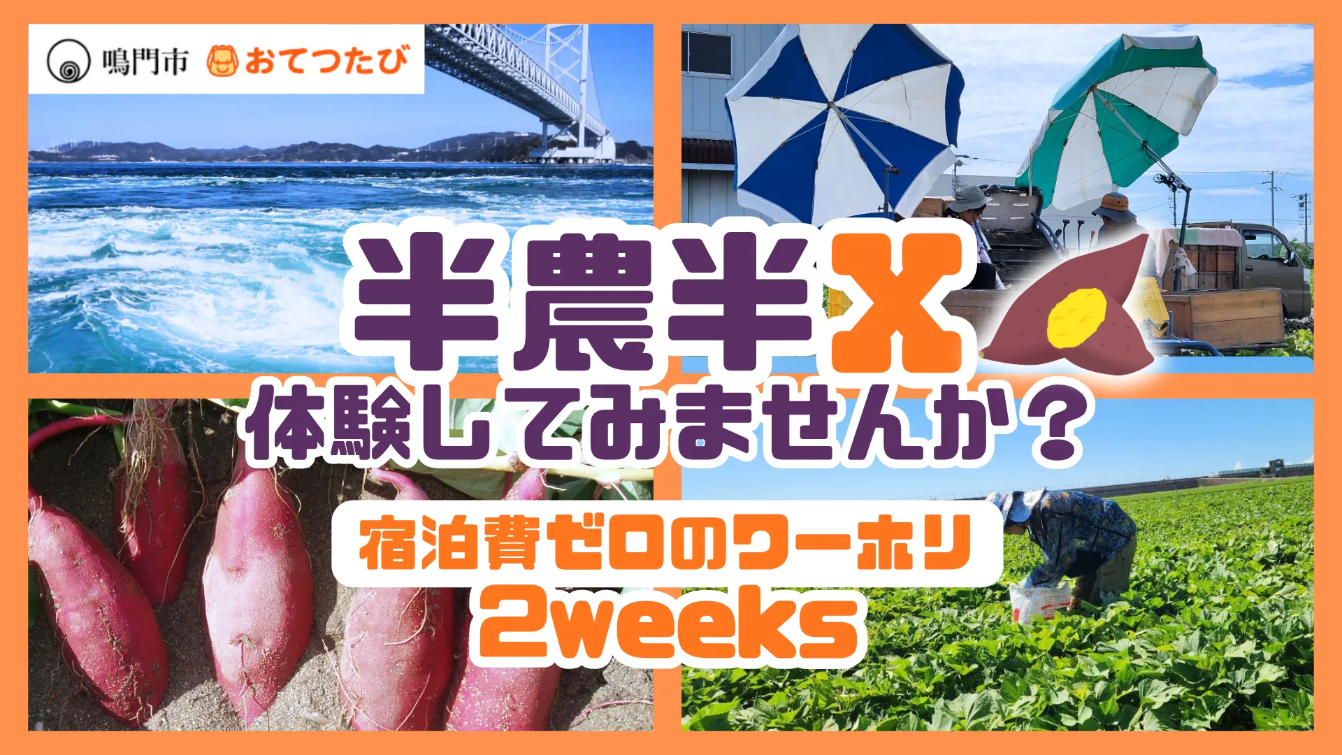 【徳島県鳴門市】第2弾 募集中！宿泊費ゼロで2週間のお試し暮らし！潮風感じる海辺で特産品「なると金時」の農業お仕事体験してみませんか？