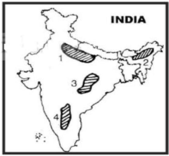 Illustration for UPSC GS Prelims question on Geography (Indian physical environment)